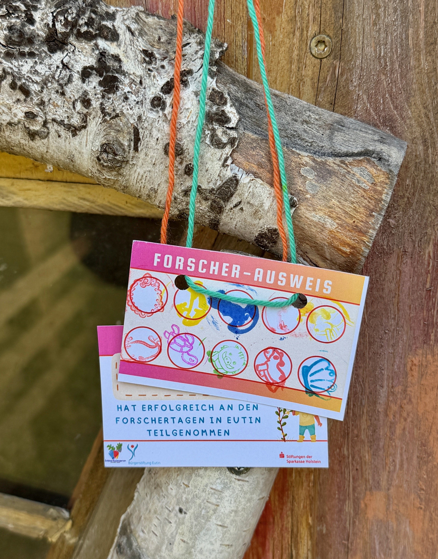 Foto 8 Ausweis Forschertage