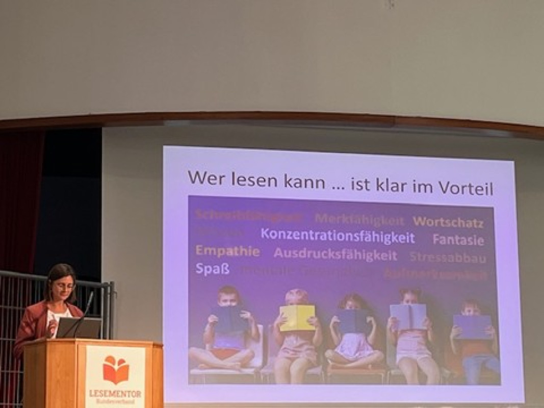 Bild6