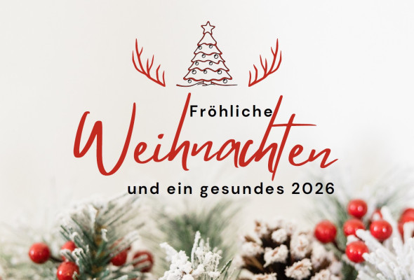 Screenshot 2025 12 17 175659